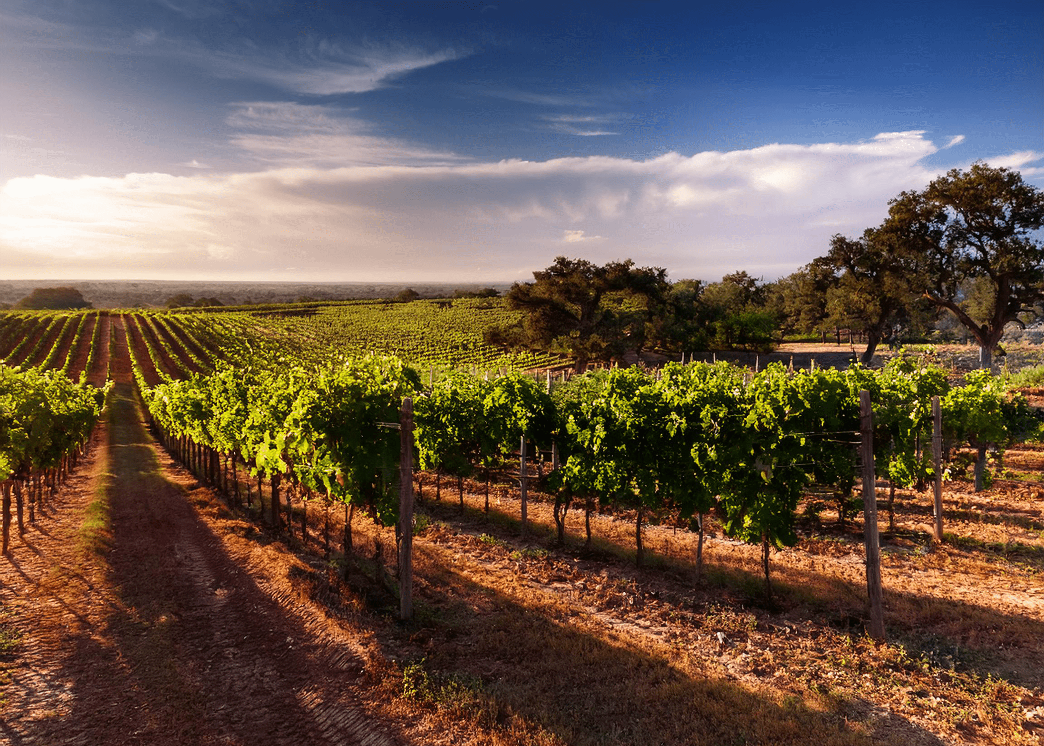 winery_v2